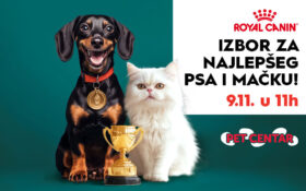 🐾IZBOR ZA NAJLEPŠEG PSA I MAČKU, 9. novembar🐾
