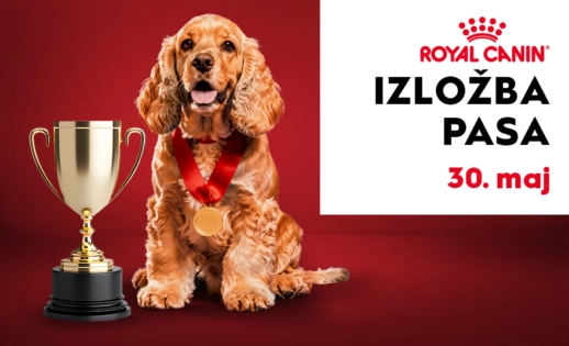 🐾 REVIJALNA IZLOŽBA PASA, 30. maj 🐾