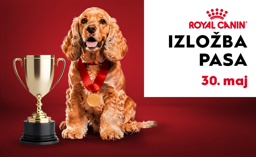 🐾 REVIJALNA IZLOŽBA PASA, 30. maj 🐾