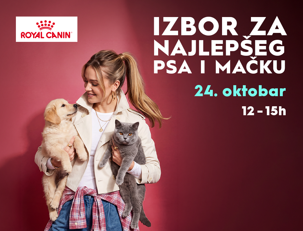 BIG-CA_Izbor-za-najlepseg-psa-i-macku_1048x800