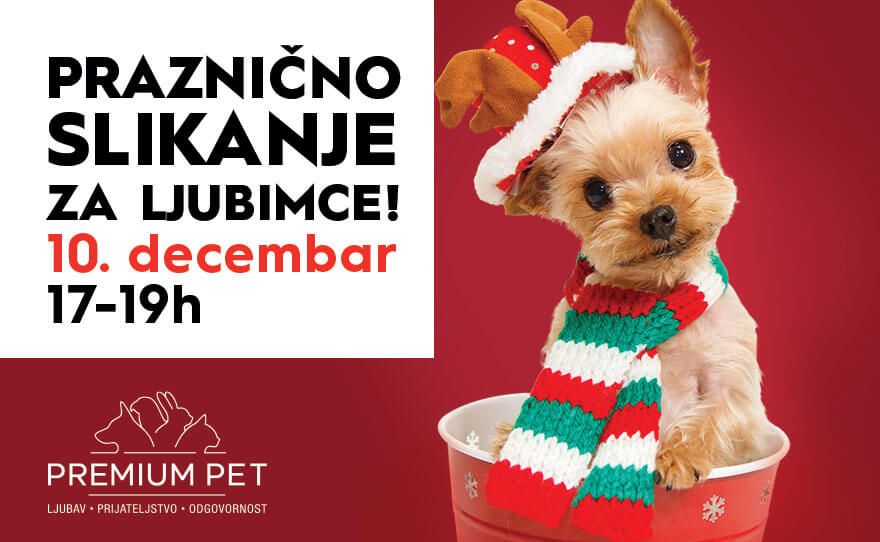 🐶 PRAZNIČNO SLIKANJE ZA LJUBIMCE 🐱