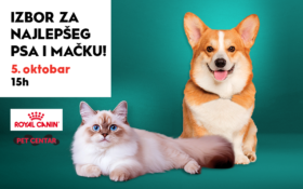 🐾 IZBOR ZA NAJLEPŠEG PSA I MAČKU! 🐾