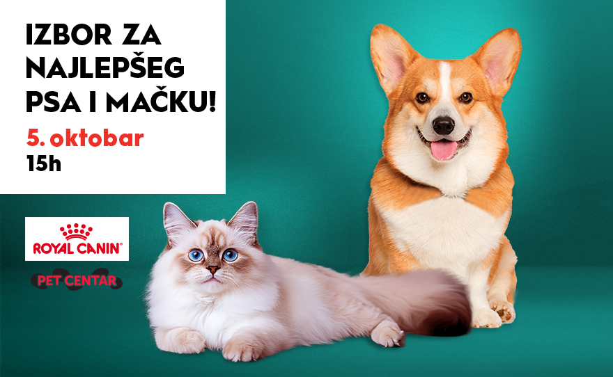 🐾 IZBOR ZA NAJLEPŠEG PSA I MAČKU! 🐾
