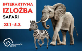 🐘 SAFARI IZLOŽBA, 23.januar – 5. februar 🦒