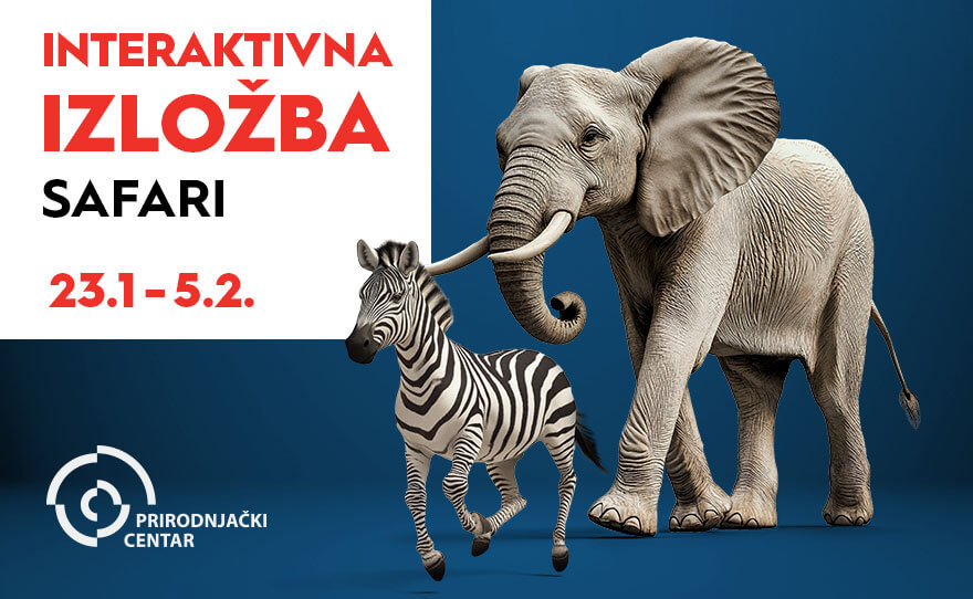 🐘 SAFARI IZLOŽBA, 23.januar – 5. februar 🦒
