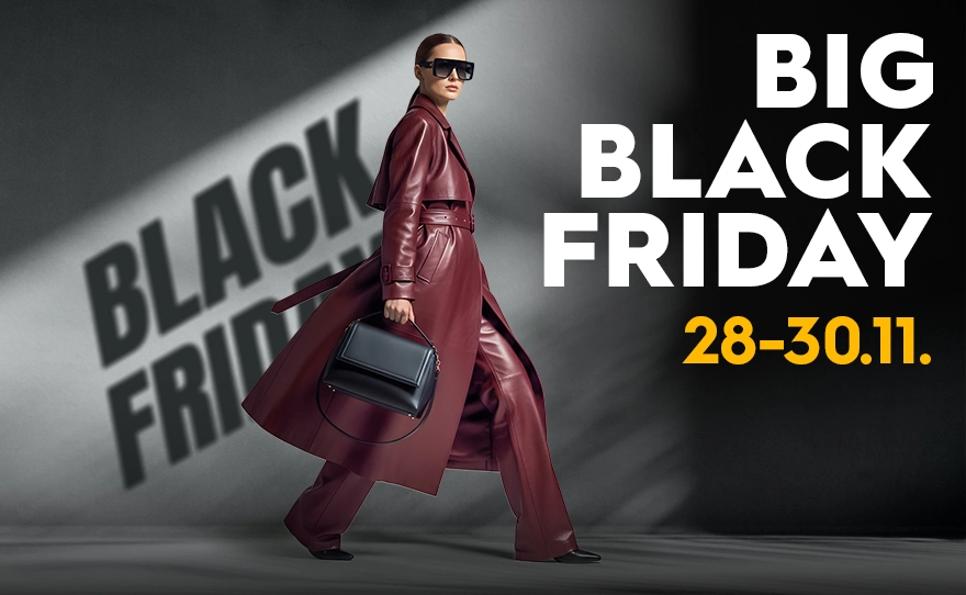 Black_Friday_880x542.webp