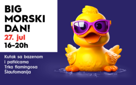 🌊🐬BIG MORSKI DAN 27. jul, 16-20h! 🐬🌊