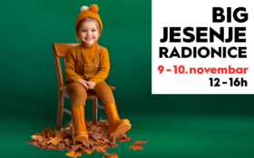 🍂 BIG JESENJE RADIONICE, 9-10. novembar, 12-16h 🍂