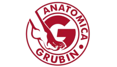 Grubin Novi Sad Centar