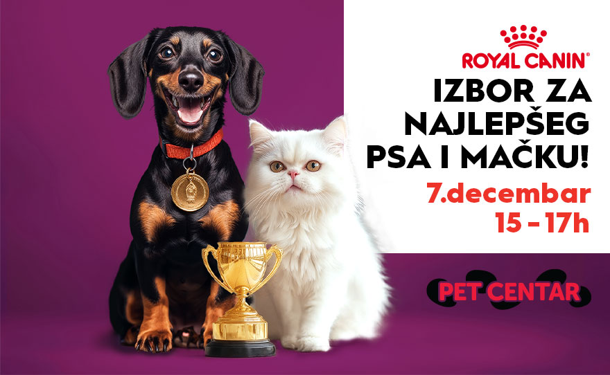 🐾 IZBOR ZA NAJLEPŠEG PSA I MAČKU, 7. decembar, 15-17h 🐾
