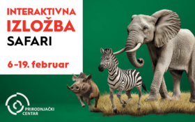 🐘SAFARI IZLOŽBA, 6-19. februar🦒