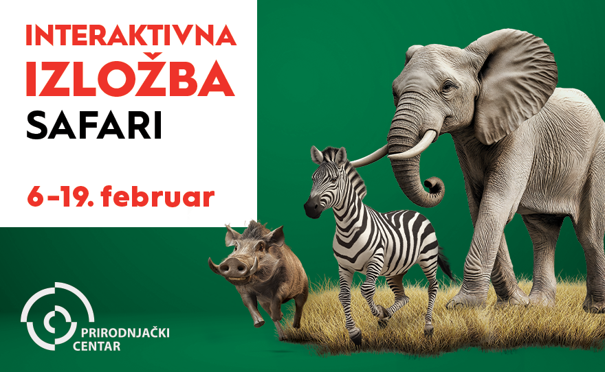 🐘SAFARI IZLOŽBA, 6-19. februar🦒