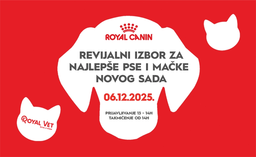 🐾REVIJALNI IZBOR ZA NAJLEPŠE PASE I MAČKE NOVOG SADA – 6. decembar! 🐾
