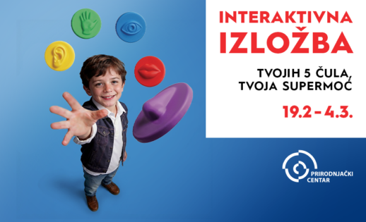 BIG-NS_Tvojih-5-cula_880x542-518x315