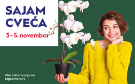 🌷 SAJAM CVEĆA, 03.11-05.11. 🌷
