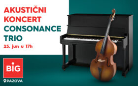 CONSONANCA TRIO, 25 . jun, 17h
