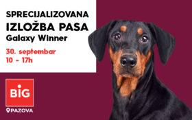 🐾SPECIJALIZOVANA IZLOŽBA PASA ZA RASU DOBERMAN GALAXY WINNER, 30. septembar, 10-17h 🐾