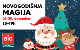 🎄 NOVOGODIŠNJA MAGIJA U #BIGPAZOVA CENTRU! 🌟