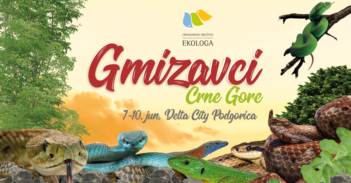 Izložba Gmizavci Crne Gore