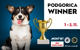 IZLOŽBA PASA | 1. I 2. NOVEMBAR | GARAŽA BIG FASHION CENTRA 🐾