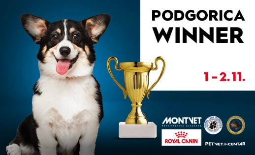 IZLOŽBA PASA | 1. I 2. NOVEMBAR | GARAŽA BIG FASHION CENTRA 🐾