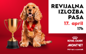 BF_PG_izlozba-pasa_880x542-280x175