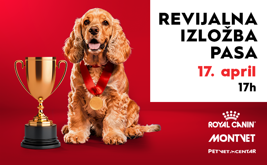🐾 REVIJALNA IZLOŽBA PASA, 17.april, 17h