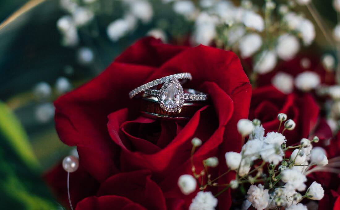 Prstenje u crvenoj ruži