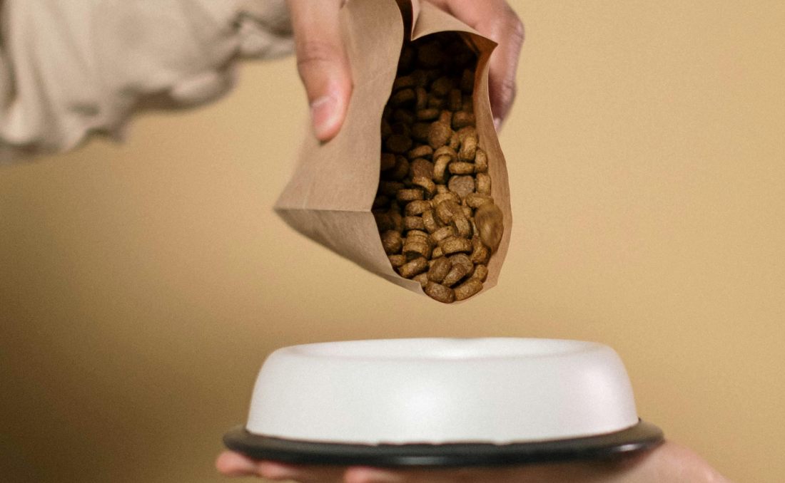 Granule i činija za pse.