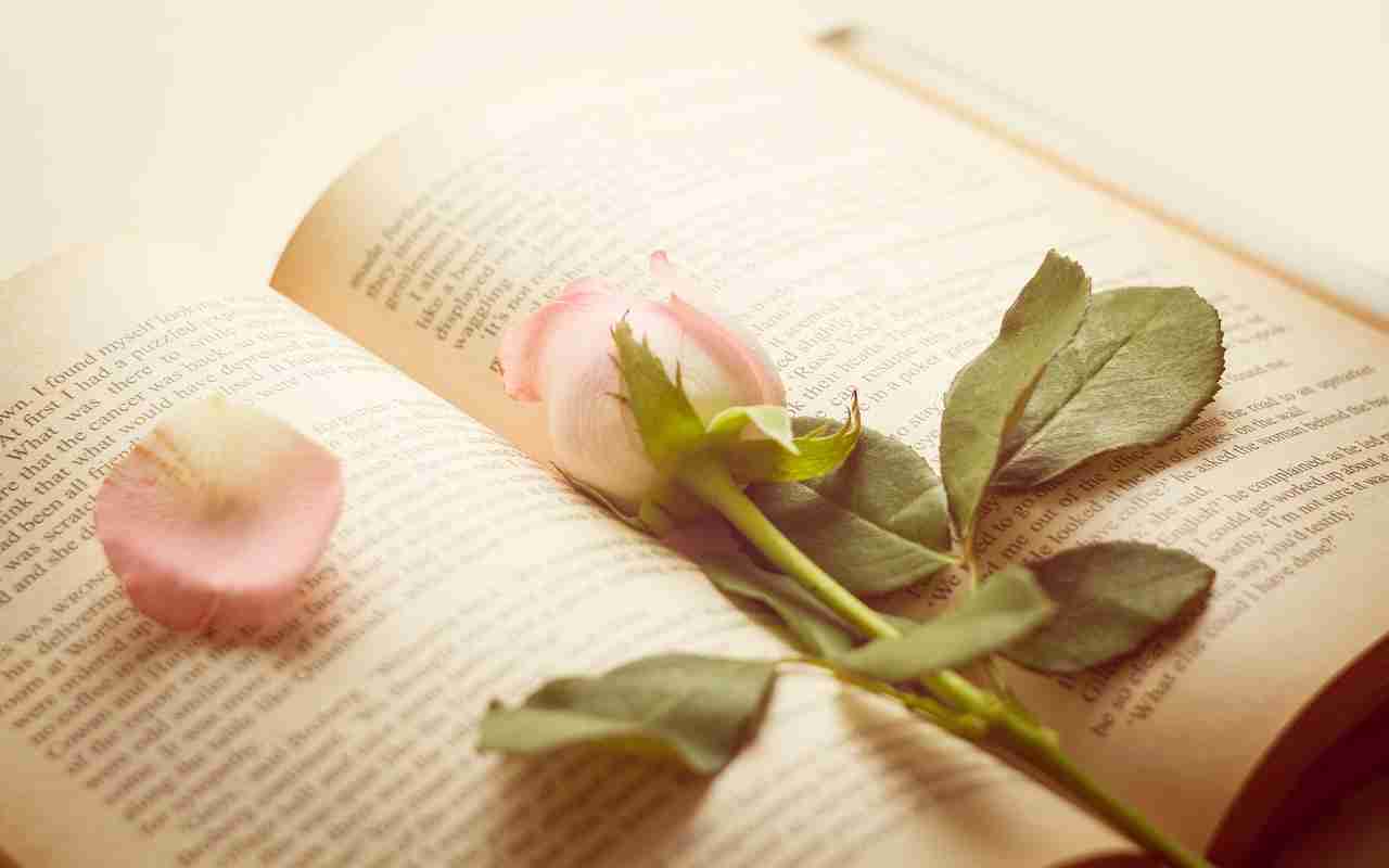 Otvorena knjiga sa nežno roze ružom i latice na stranicama, simbolizujući romantiku i lepotu ljubavnih romana.