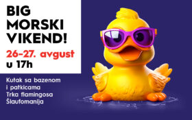 🌊🐬BIG MORSKI DAN 26-27. avgust od 16h! 🐬🌊