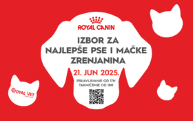 🐾 IZBOR ZA NAJLEPŠU MAČKU ZRENJANINA, 21. jun, 18h 🐾